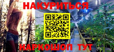 твердый Камышлов