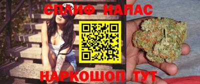 твердый Камышлов