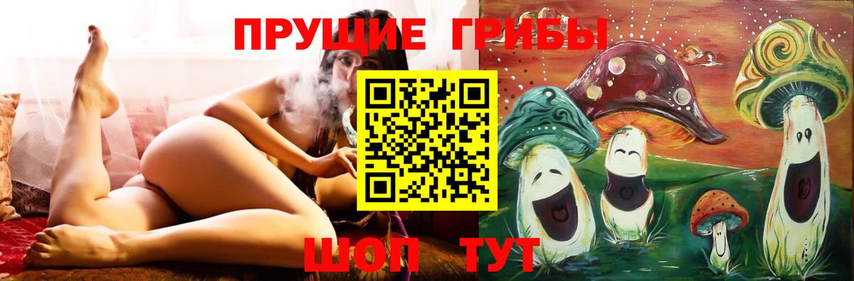 Псилоцибиновые грибы GOLDEN TEACHER  Вход с VPN  Кстово 