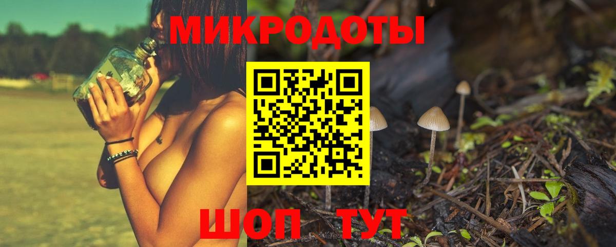Псилоцибиновые грибы мицелий Кстово